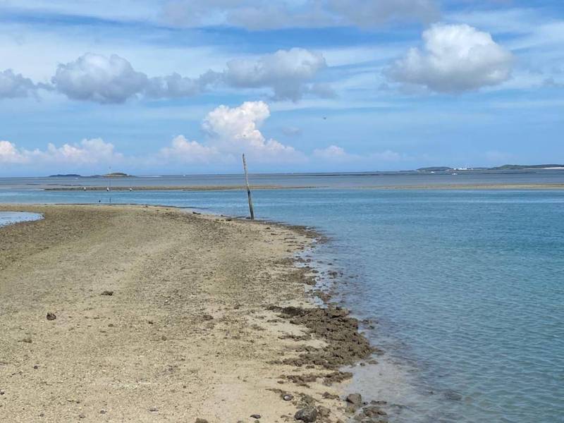 白沙岐頭港航道出現大批淤沙，退潮時影響船隻出入港。（宋昀芝提供）