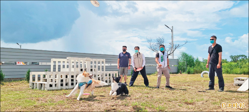 「搖尾草—狗狗派對市集」昨天在仁德區舉行，市長黃偉哲（右二）丟飛盤和狗狗互動。（記者劉婉君攝）
