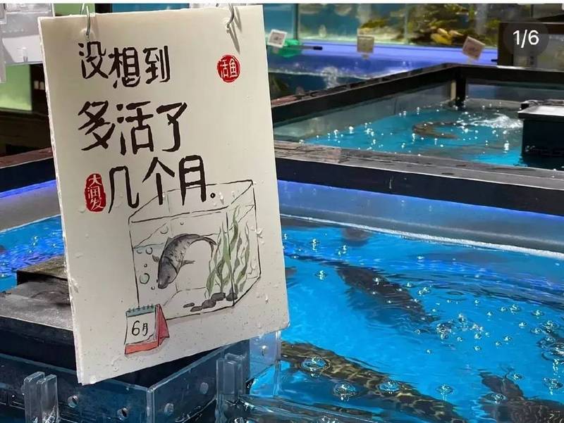 中国上海超市以创意文案促销活鱼。（撷取自微博）(photo:LTN)