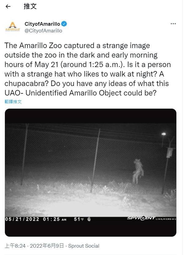 美国德州阿马里洛市动物园上月拍摄到有神秘生物半夜现身园外。（图撷取自阿马里洛官方推特）(photo:LTN)