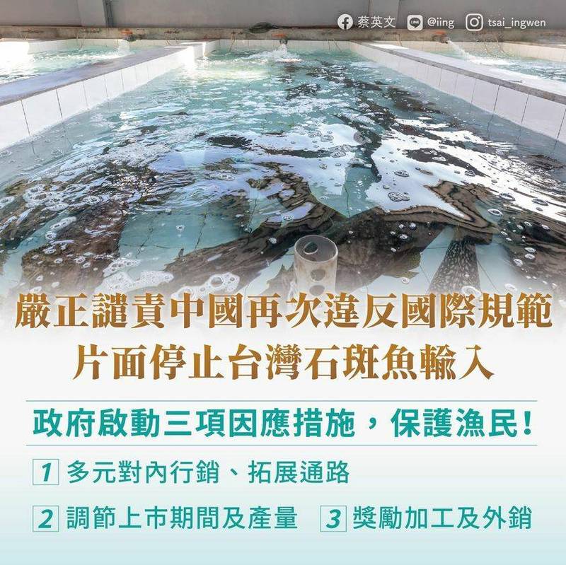 针对中国封杀台湾石斑鱼事件，总统蔡英文表示，去年中国禁止凤梨输入，我们都克服难关了，这次我们也一定能克服挑战。（图取自蔡英文脸书）(photo:LTN)