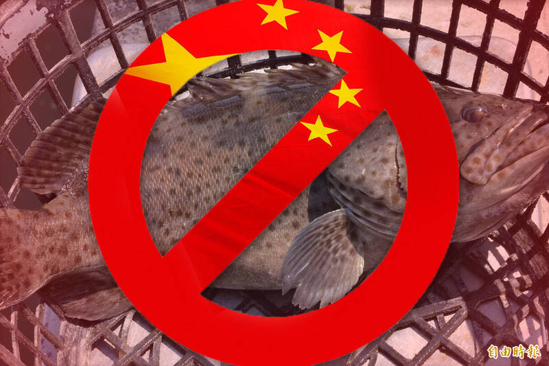 中國宣布自6月13日起禁止台灣石斑魚輸入。（資料照，本報合成）