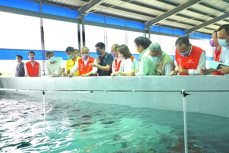 Premier Su Tseng-chang, front row fifth left, visits a grouper farm in Linbian, Pingtung County, on Sunday.
Photo courtesy of the Pingtung County