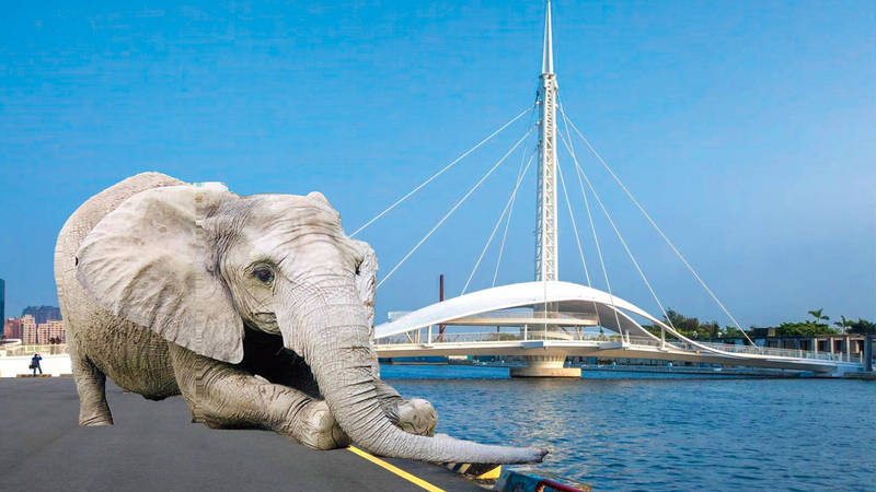 大象阿里在大港橋邊戲水。（高雄市觀光局提供）