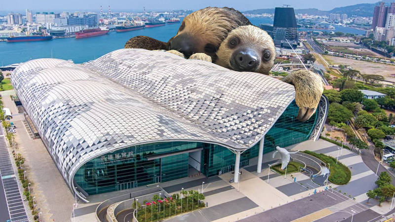 樹懶寶寶跟著媽媽一起到高雄展覽館吹冷氣，看2022台灣文博會。（高雄市觀光局提供）