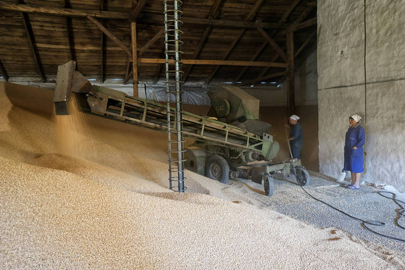 乌克兰因战争难以出口谷物，恐爆发全球粮食危机。（彭博）(photo:LTN)