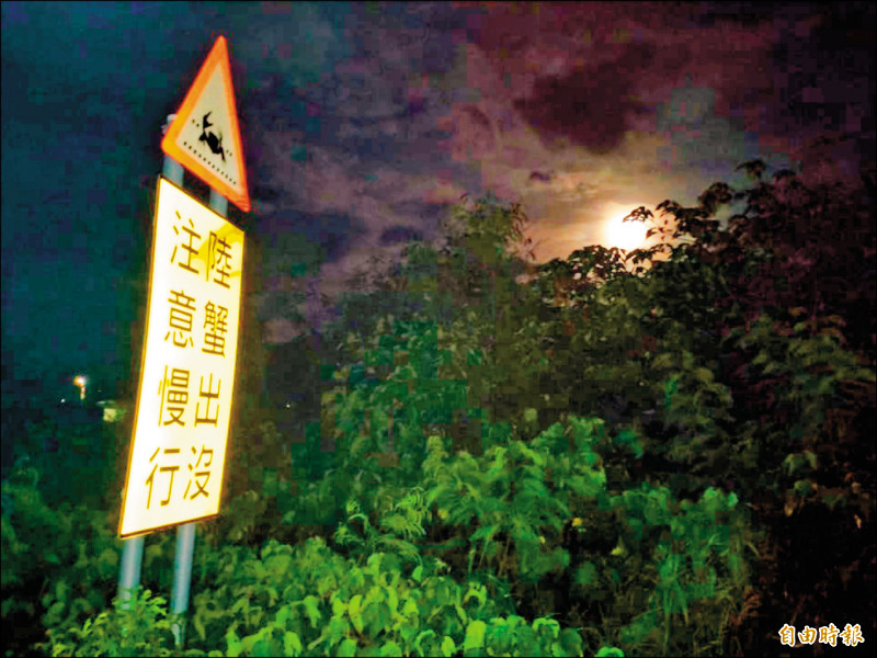 車城景觀道路有不少陸蟹經過,相關單位豎立告示牌提醒。
(記者蔡宗憲攝) 車城景觀道路有不少陸蟹經過,相關單位豎立告示牌提醒。
(記者蔡宗憲攝)