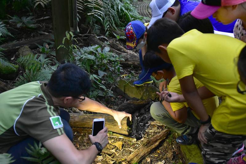 台北市動物園暑期推出6種主題營隊活動，包括探索甲蟲森林奧秘深化環境維護重要性等內容。（北教育局提供）