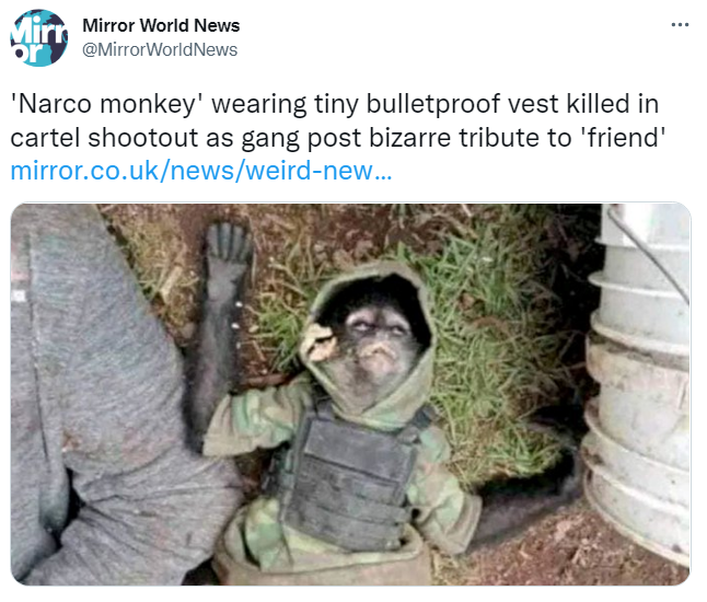 墨西哥警方擊斃11名毒販，現場還發現1具身穿小型迷彩服和防彈背心的猴子遺體。（圖擷自@MirrorWorldNews推特）