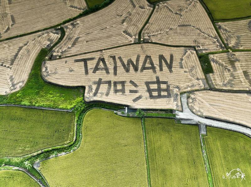 玉里鎮有機米稻農康明義在自家農田耕出「TAIWAN 加油」大字樣，空中畫面十分壯觀。（圖由康明義提供）