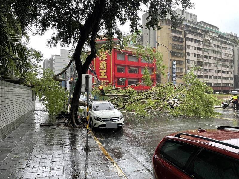 台北市西寧北路交長安西路口，現場1棵高度約20公尺、直徑約80公分樹木倒塌。（台北市消防局提供）