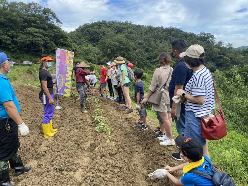 深坑區農會與東南科大、深坑國中及深坑國小共同舉辦「種地瓜送愛心」活動。（農業局提供）