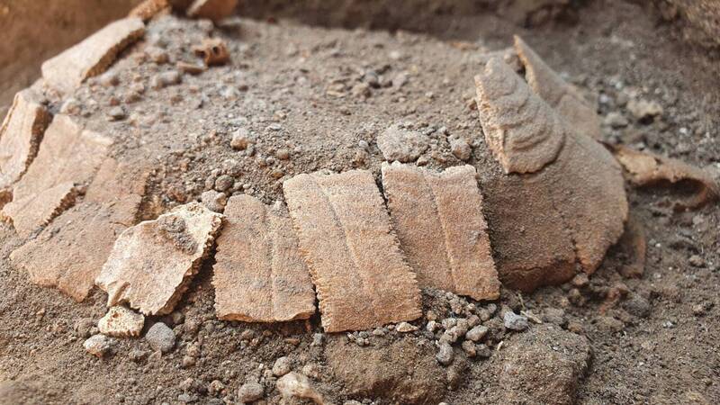 當地官員24日表示，考古學家在挖掘古城的過程中，在一座受損的房屋廢墟中發現一隻14公分長，懷有身孕的赫爾曼烏龜遺骸。（法新社）