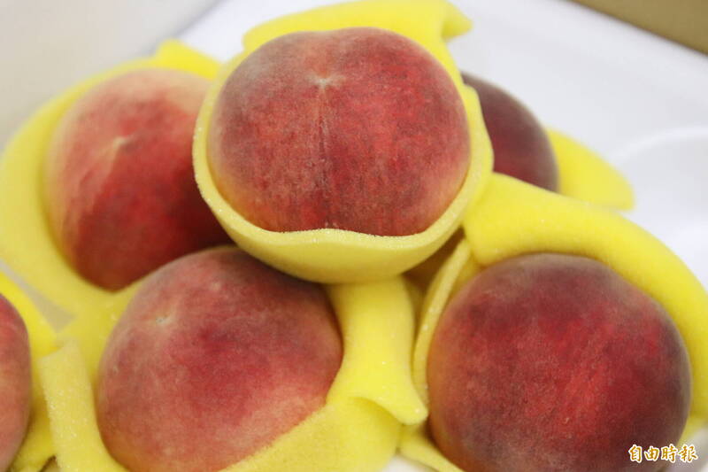 新竹縣尖石鄉的水蜜桃上市了，今天中午開始到8月7日之前透過鄉公所的網路平台下單者就可參加抽獎，滿額還另有不同優惠。（記者黃美珠攝）