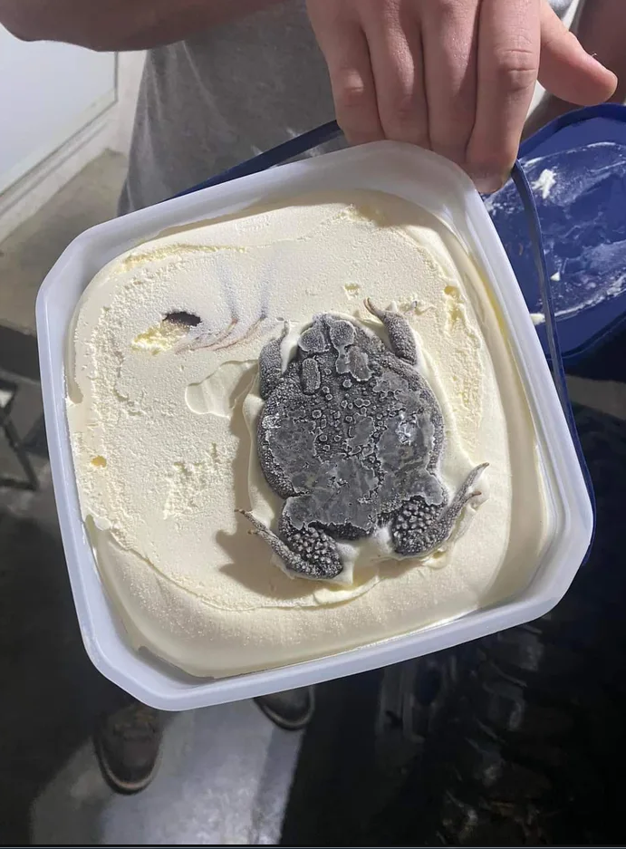一張冰淇淋上有蟾蜍的超噁圖片在網路上瘋傳。（翻攝Reddit）