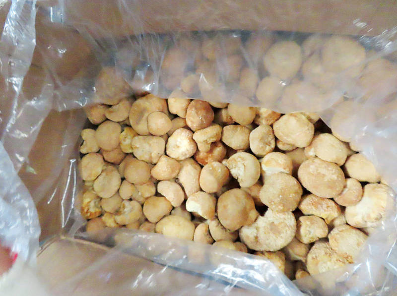 A shipment of lion’s mane mushroom from China was found to contain excessive levels of pesticide residue, FDA says yesterday it was the 15th time in six months that lion’s mane mushroom imported from China has failed inspections.
Photo courtesy of FDA