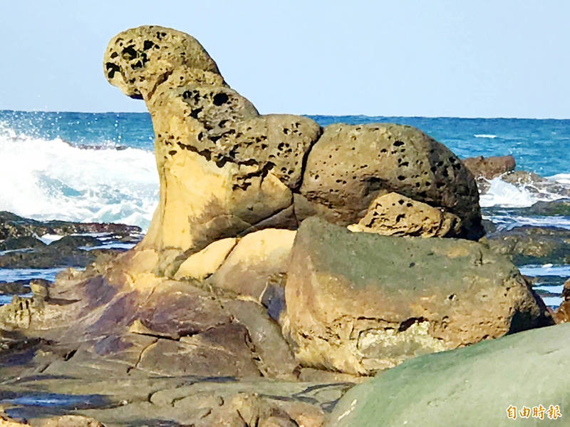 A seal-shaped rock off Keelung’s Badouzi is pictured in an undated photograph.
Photo: Lu Heien-hsiu, Taipei Times