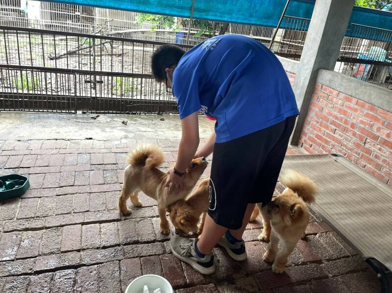 學生幫忙照顧流浪狗，清理狗籠。（記者詹士弘翻攝）