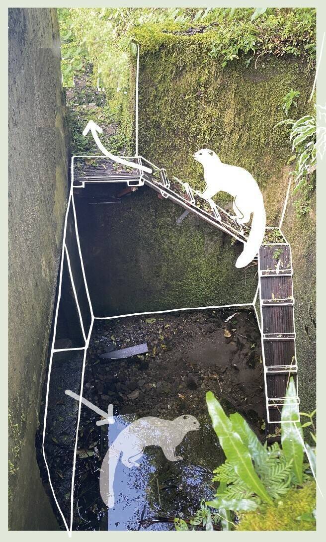 太平山野生動物逃生通道示意圖。（圖由羅東林管處提供）