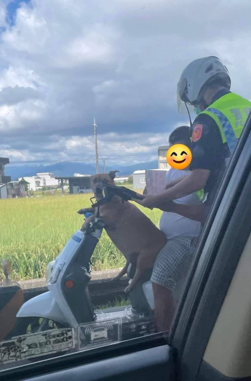 主人被開單…小黃豪邁手扶車把燦笑 網笑翻：狗怎麼可以騎車