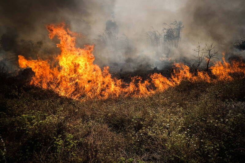 葡萄牙多個地區出現野火，目前已傳出有至少29人受傷，當局也出動超過3000名消防人員進行灌救。（歐新社）