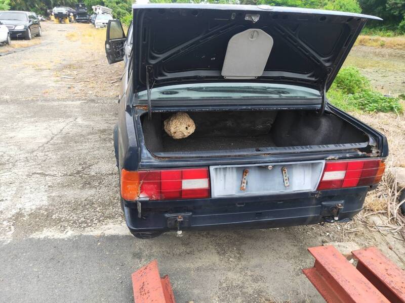 誇張！虎頭蜂在報廢車後行李箱築巢  車主驚呆