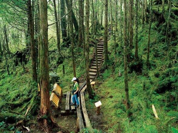 太平山翠峰湖環山步道是條名副其實的寂靜山徑。（羅東林管處提供）