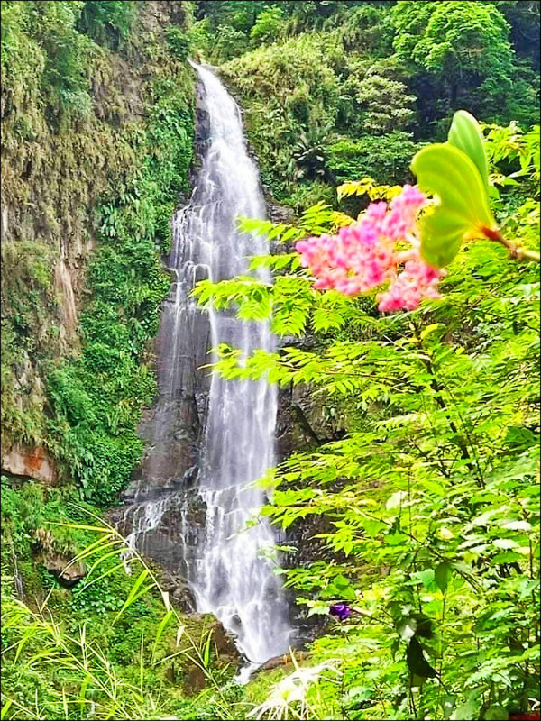 嘉義縣竹崎觀音瀑布雨季水量豐沛。（阿管處提供）