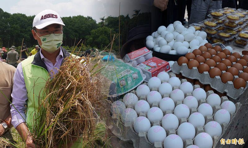 陳吉仲說，產地蛋價來到新高，但市場並不缺蛋。（記者顔宏駿攝）