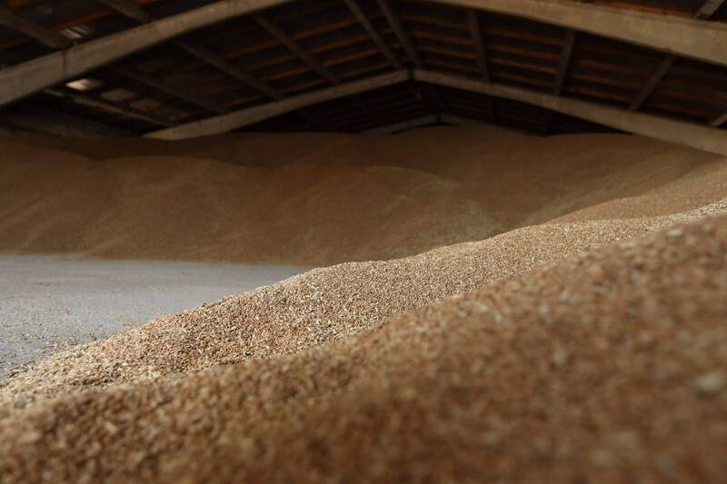 烏克蘭有大量穀物等待出售。示意圖。（法新社）