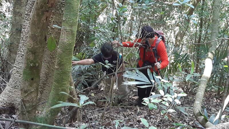 王姓女子獨攀唐麻丹山迷路向119求救，消防人員趕緊上山將她帶下山。（記者歐素美翻攝）