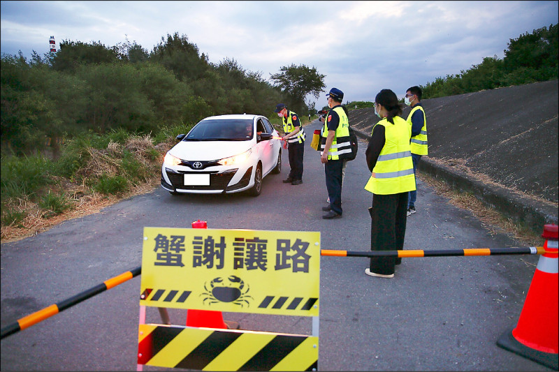 台江國家公園管理處在園區青草崙堤防防汛道路執行「蟹謝讓路」護蟹交管。（台管處提供）