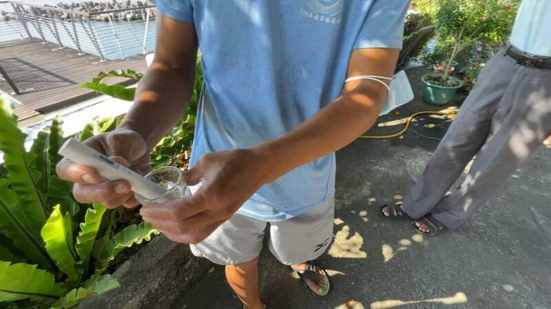 神奇肉桂樹莫名噴水已1週 像尿尿小童噴不停