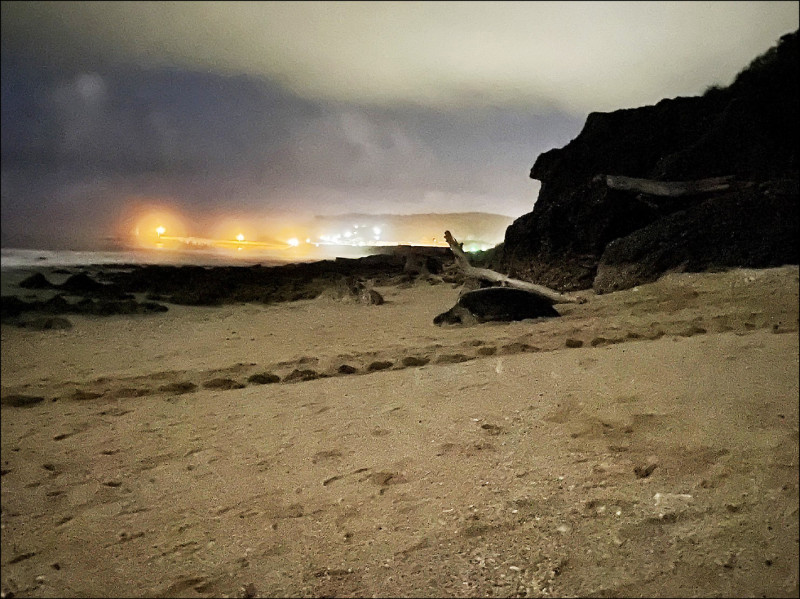 母龜會選擇較少受光害影響的沙灘上岸產卵。（海保署提供）