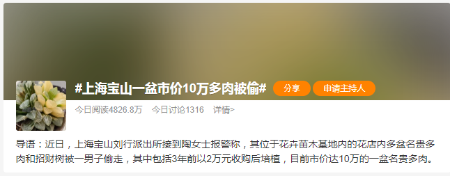 中国上海警方破获一起多肉盆栽被盗的案件，其中一盆价值超过10万人民币（44万台币）的名贵盆栽也被窃贼所夺。该事件登上微博热搜榜，引发中国网友讨论。（图撷取自微博）(photo:LTN)