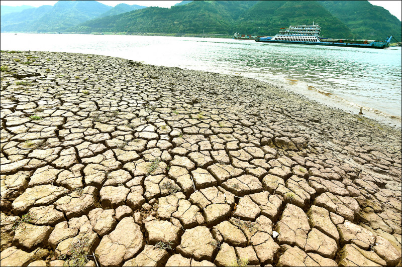位于重庆市云阳县的长江上游段十六日可见干涸的河床。（美联社）(photo:LTN)