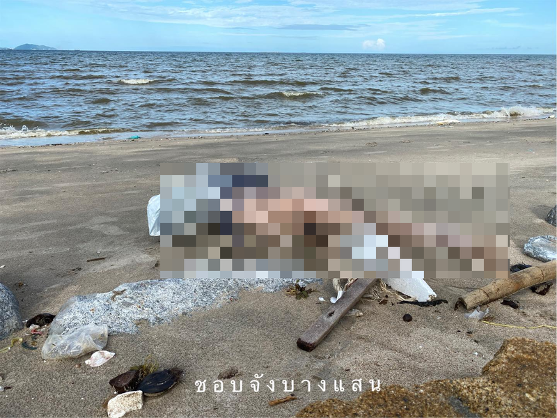 民众目击1名无头女尸被沖上沙滩，吓的赶紧报警。（图翻摄自脸书ชอบจัง บางแสน）(photo:LTN)