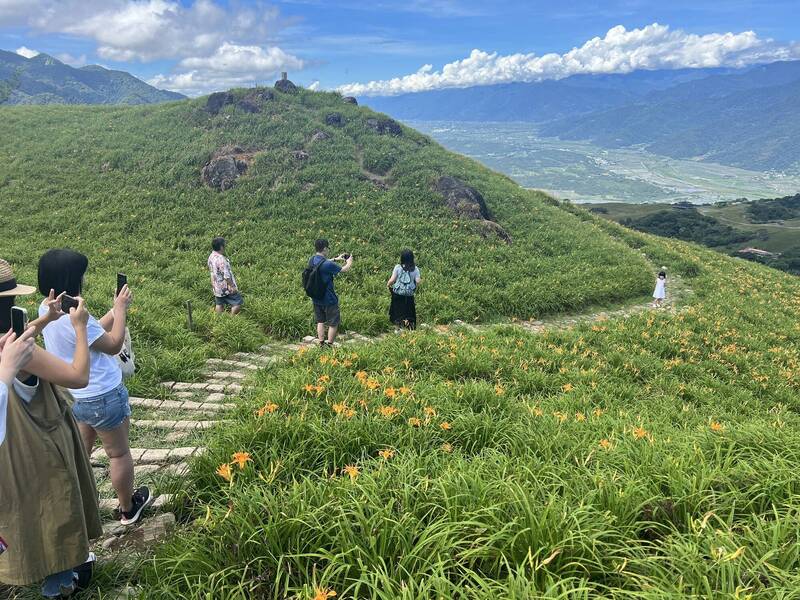 花蓮高溫炎熱、缺水嚴重，農損陸續傳出，正值花季的富里鄉六十石山金針花，因缺水導致四成花未開。（富里鄉農會提供）