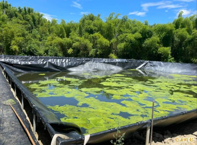 高市首座畜牧廢水資源化中心預計9月底完工啟用，沼液經厭氧設備處理後，進入生物淨化池，作為微藻養殖基質，再以微藻養殖水蚤。（記者陳文嬋攝）