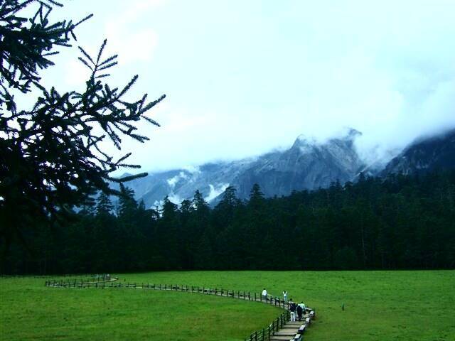 云南丽江玉龙雪山景区的「云杉坪」大草坪是着名景点，整座海拔约3600公尺的大草坪被群山和原始云杉林环绕，因而得名。（图撷自Wiki）(photo:LTN)
