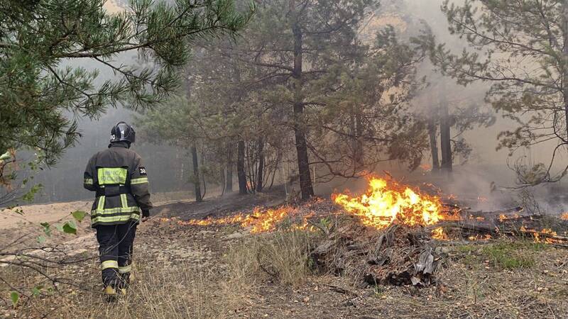在俄罗斯境内目前有多起森林火灾正在烧。图为8月23日俄罗斯梁赞地区的森林火灾现场。（美联）(photo:LTN)