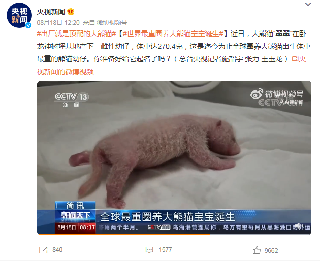 央视新闻在微博发起替大熊猫宝宝取名，不料却引发大批网民「辱包」。（图撷取自微博）(photo:LTN)