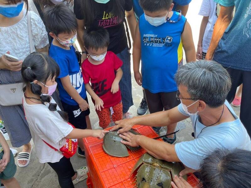 移民署南區事務大隊金門縣服務站與水產試驗所辦理家庭教育課程，由水試所養鱟達人成勇生（右一）帶領新住民家庭參與「守鱟幸福」活動。（金門縣服務站提供）