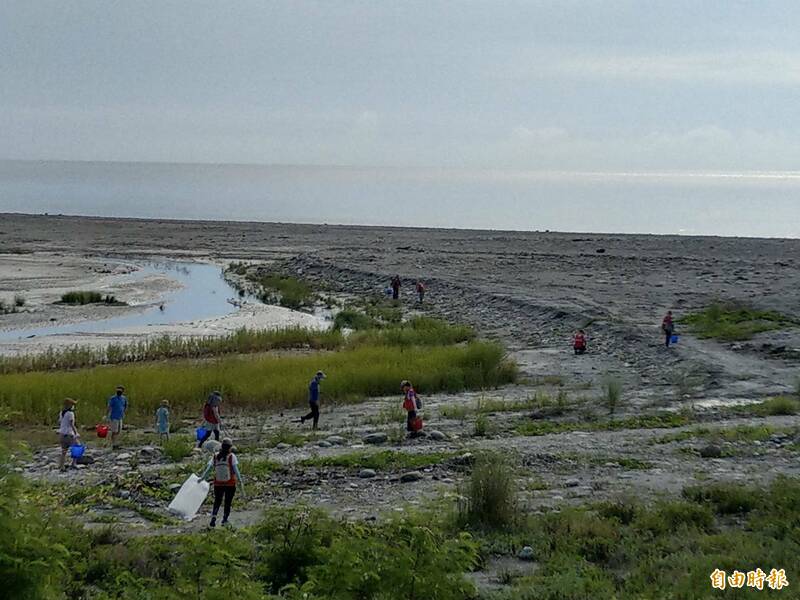 水利署第八河川局今天在卑南溪濕地舉辦淨灘活動，號召60位防汛志工撿垃圾。（記者黃明堂攝）