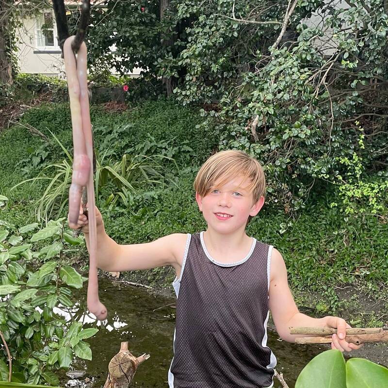 纽西兰男童在家中附近的河床发现身长1公尺的巨无霸蚯蚓。（图撷自@CheckpointRNZ推特）(photo:LTN)