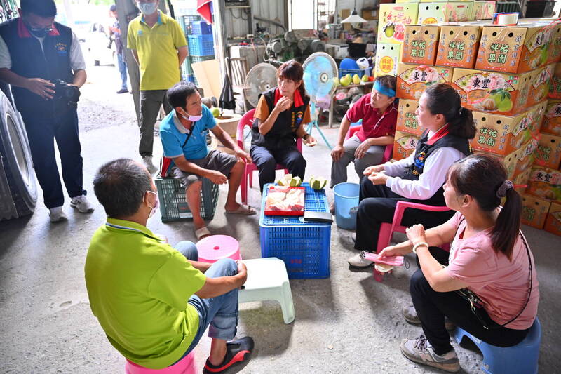 花蓮縣府持續爭取中央補助文旦柚宅配運費，鼓勵農民自產自銷，增進收益和穩定發展銷售市場。（花蓮縣府提供）