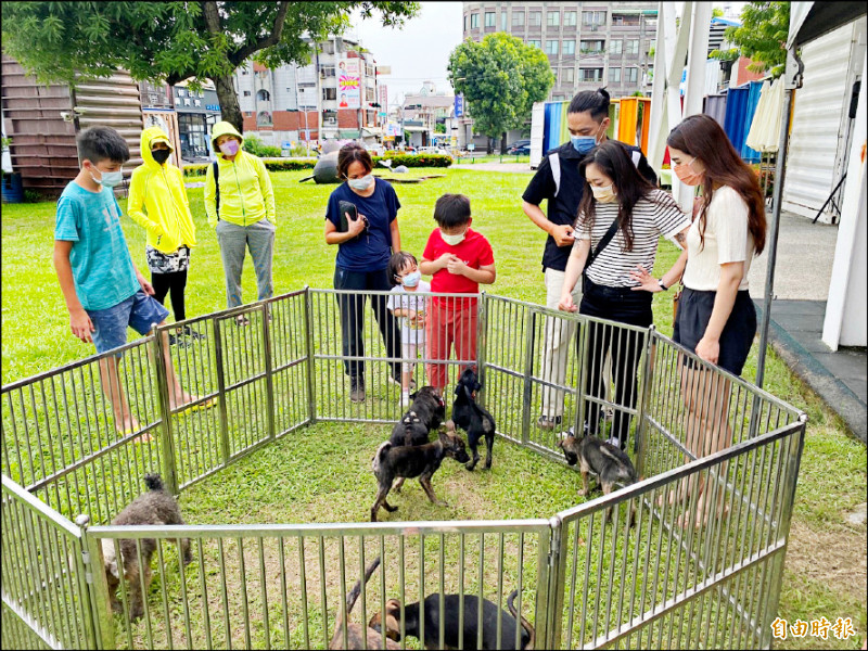 台灣人愛狗協會在青創園區辦毛小孩認養活動。（記者葉永騫攝）