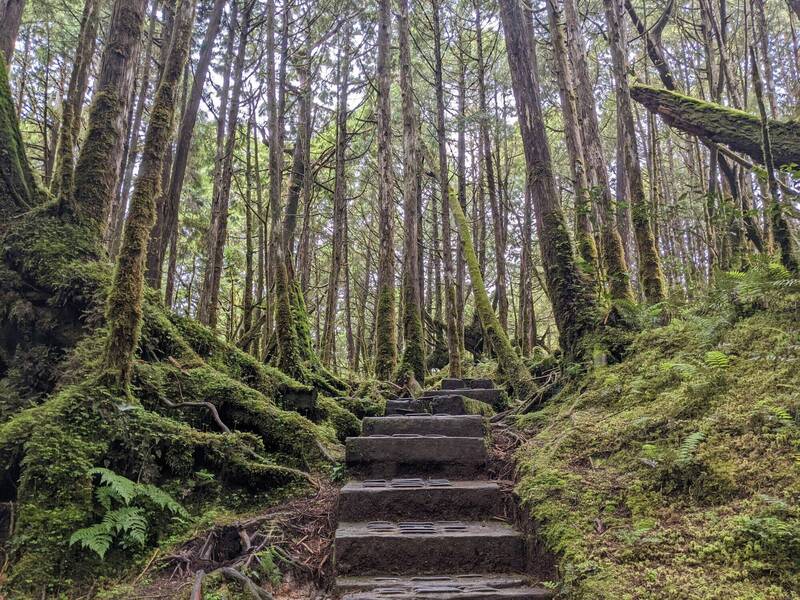 翠峰湖環山步道在沒有人為干擾狀況下，測得最低音量不到25分貝。（羅東林管處提供）