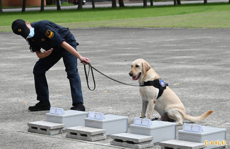 憲兵指揮部111年國軍反毒成效展演，緝毒犬對人員及空間示範搜索藏匿毒品偵測。（記者田裕華攝）