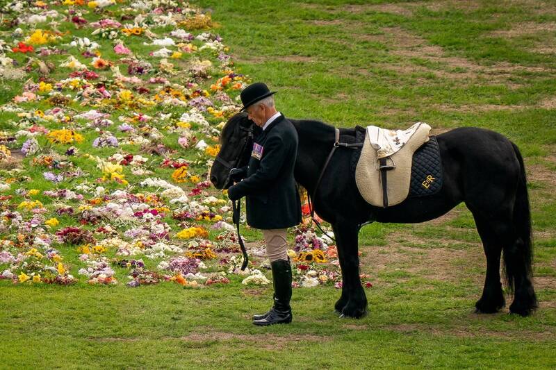 黑色小馬「艾瑪」由一名訓馬師牽著，看著女王的葬禮隊伍在溫莎城堡的場地上經過。（路透）
